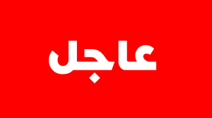 عاجل : الحوثي يدين تفحير مطار عدن الدولي ..!!